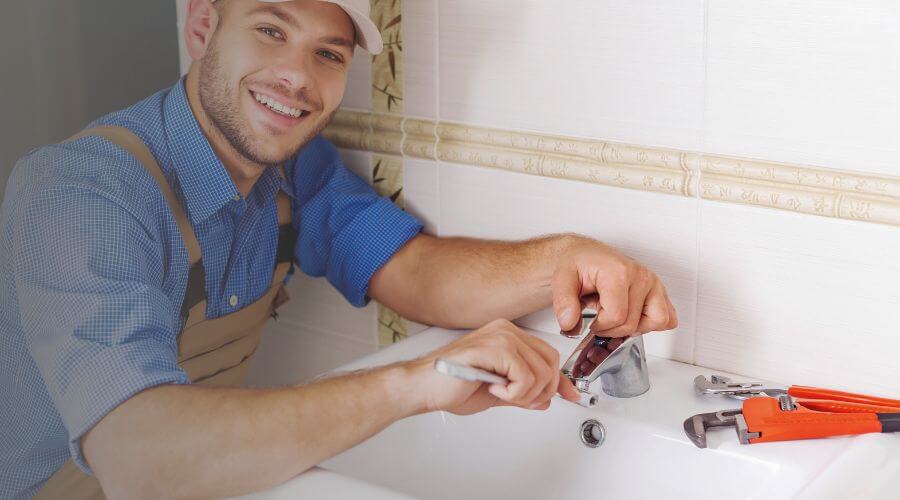 Professional Leak Detection Services services in New Germany, MN